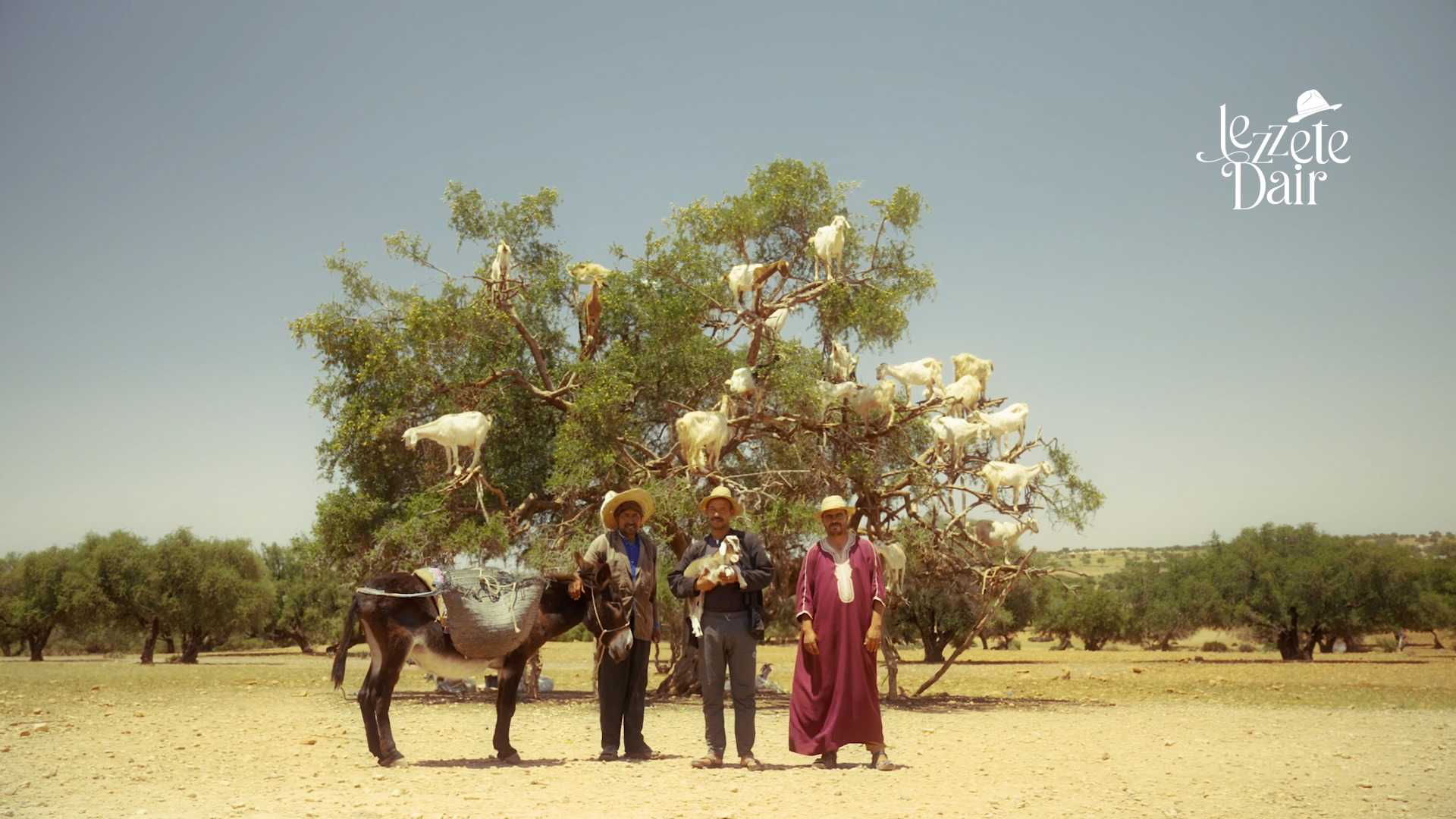 Lezzete Dair S@seasonItem.SeasonNumber:B@episodeItem.EpisodeNumber küçük görseli