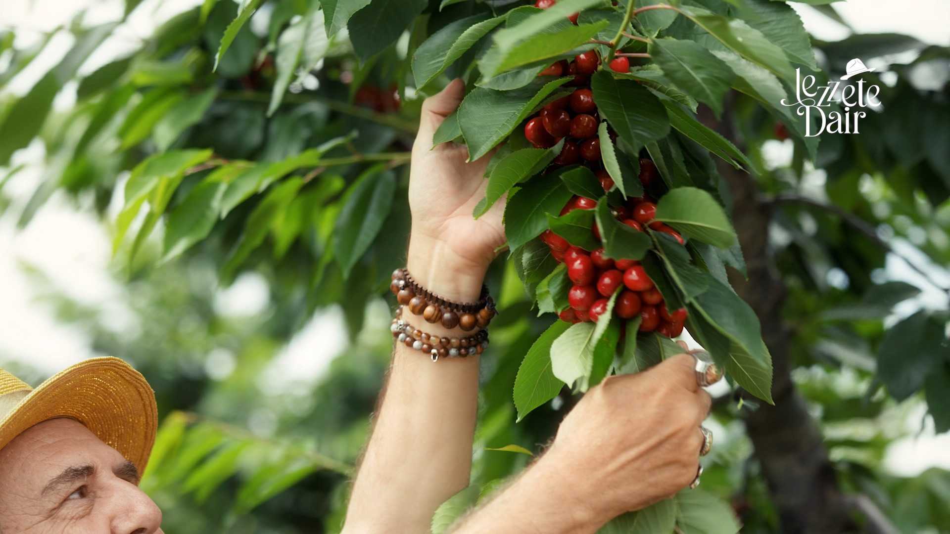 Lezzete Dair S@seasonItem.SeasonNumber:B@episodeItem.EpisodeNumber küçük görseli