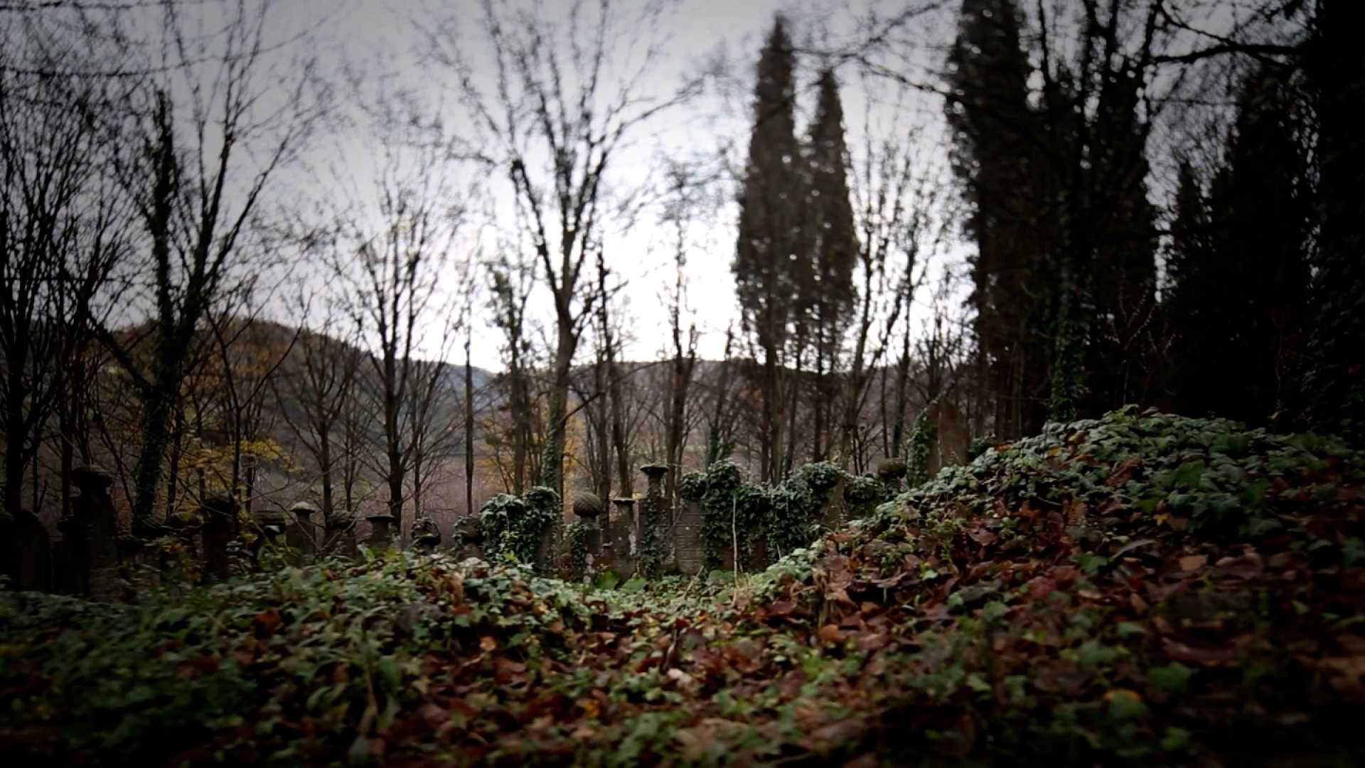 7 Afet 7 Ders S@seasonItem.SeasonNumber:B@episodeItem.EpisodeNumber küçük görseli