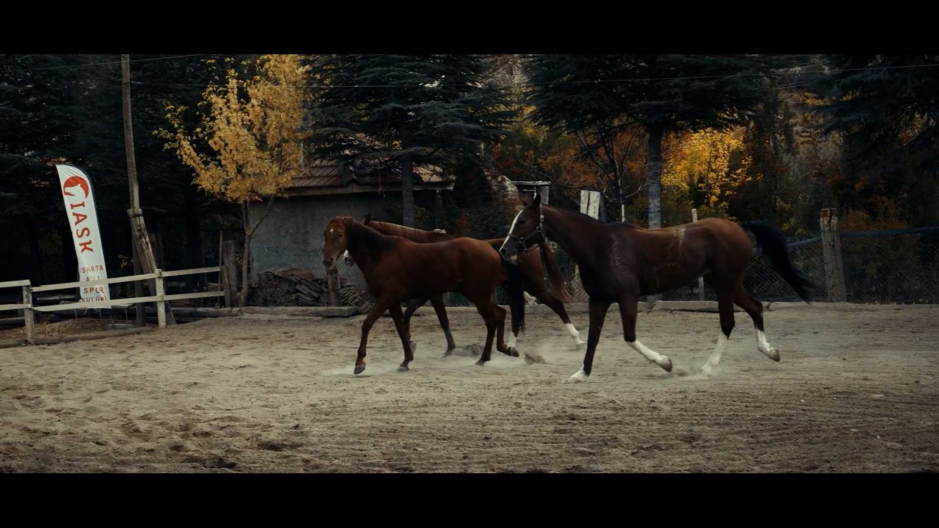 Türkiye Spor Destinasyonları S@seasonItem.SeasonNumber:B@episodeItem.EpisodeNumber küçük görseli